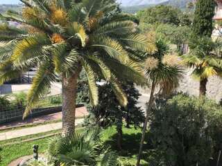 Апартаменты Apartment Topla Херцег-Нови Апартаменты с видом на море-53